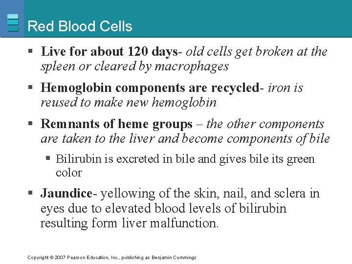 Red Blood Cells § Live for about 120 days- old cells get broken at