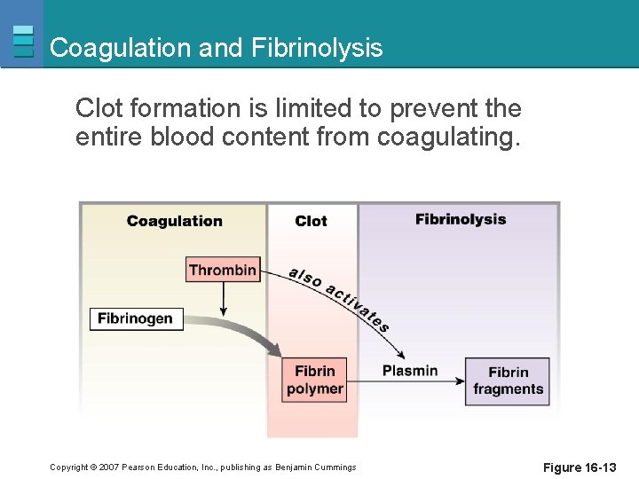 Coagulation and Fibrinolysis Clot formation is limited to prevent the entire blood content from