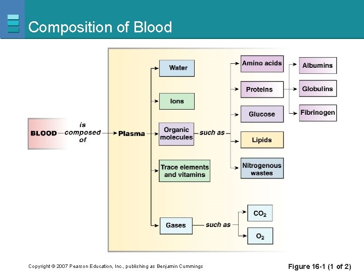 Composition of Blood Copyright © 2007 Pearson Education, Inc. , publishing as Benjamin Cummings