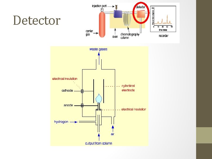 Detector 