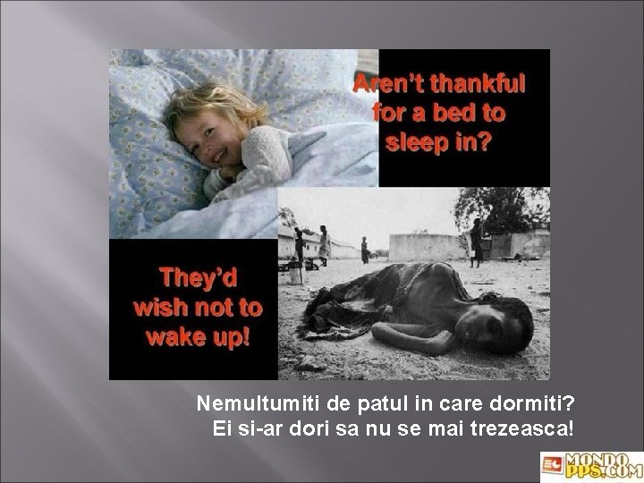 Nemultumiti de patul in care dormiti? Ei si-ar dori sa nu se mai trezeasca!