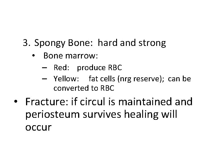 3. Spongy Bone: hard and strong • Bone marrow: – Red: produce RBC –