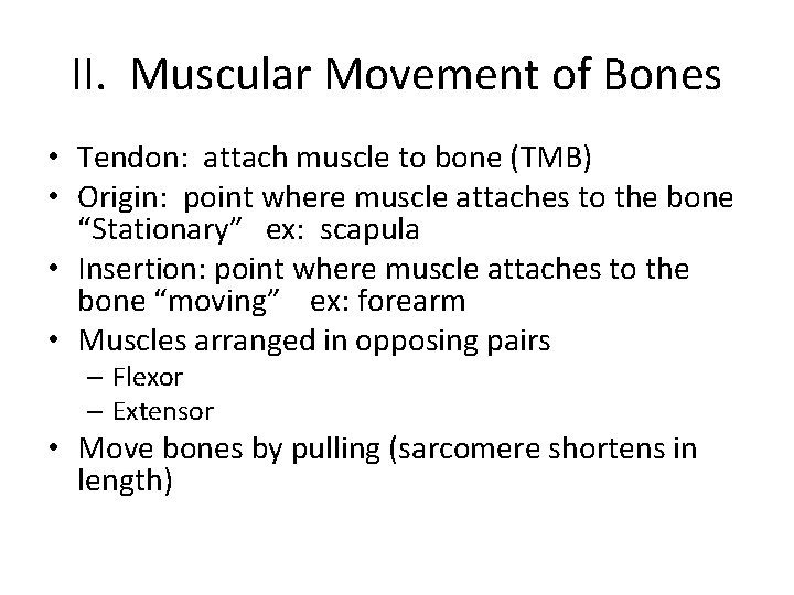 II. Muscular Movement of Bones • Tendon: attach muscle to bone (TMB) • Origin: