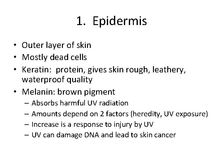 1. Epidermis • Outer layer of skin • Mostly dead cells • Keratin: protein,