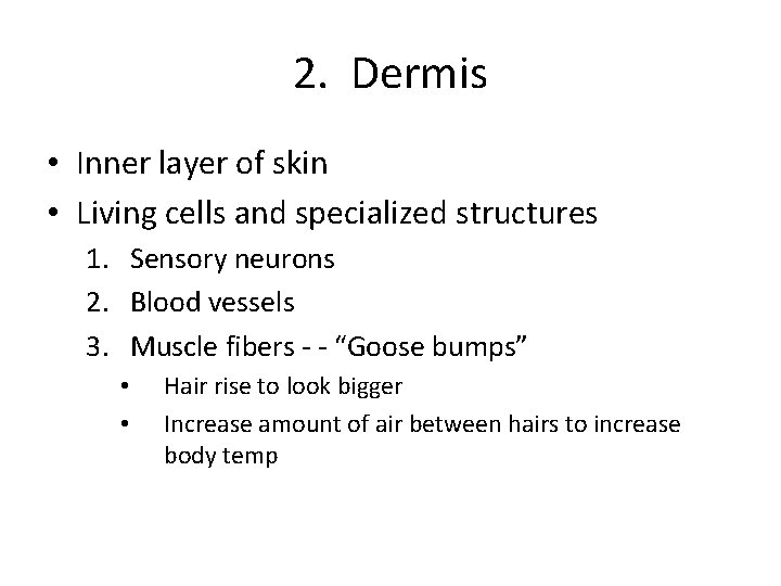 2. Dermis • Inner layer of skin • Living cells and specialized structures 1.