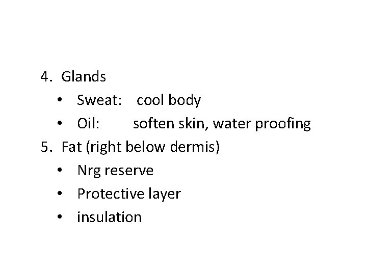 4. Glands • Sweat: cool body • Oil: soften skin, water proofing 5. Fat