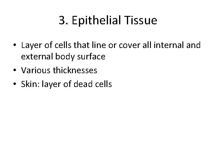 3. Epithelial Tissue • Layer of cells that line or cover all internal and