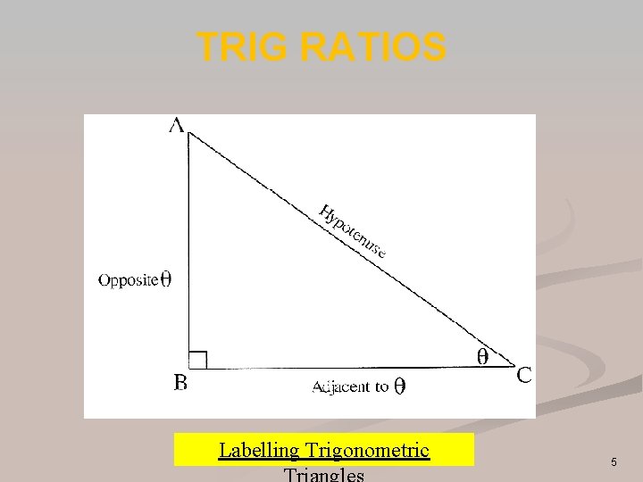TRIG RATIOS Labelling Trigonometric 5 TRIG RATIOS Labelling Trigonometric 5
