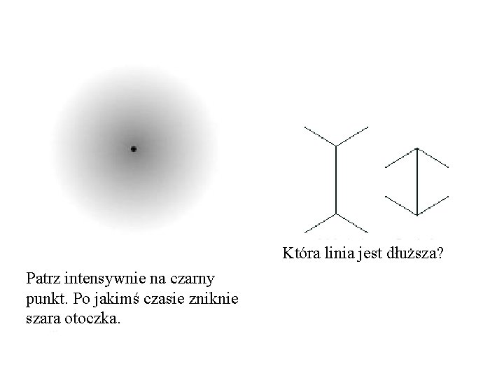 Która linia jest dłuższa? Patrz intensywnie na czarny punkt. Po jakimś czasie zniknie szara