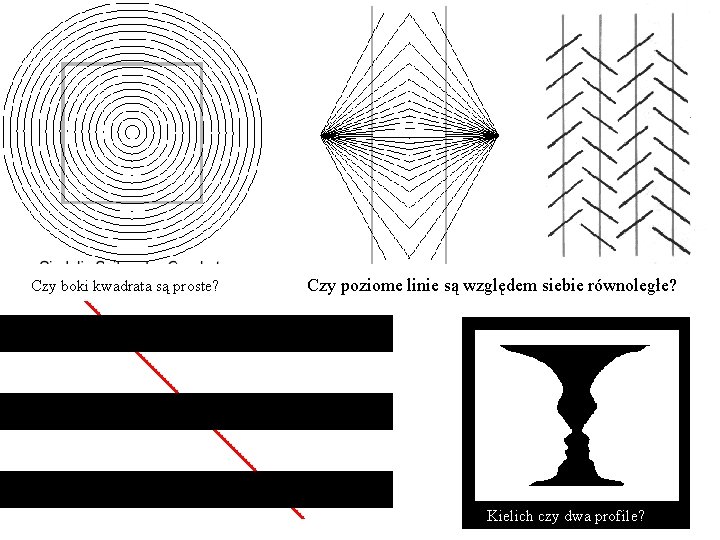 Czy boki kwadrata są proste? Czy poziome linie są względem siebie równoległe? Kielich czy