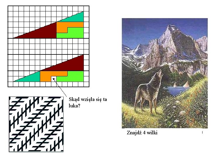 Skąd wzięła się ta luka? Znajdź 4 wilki 