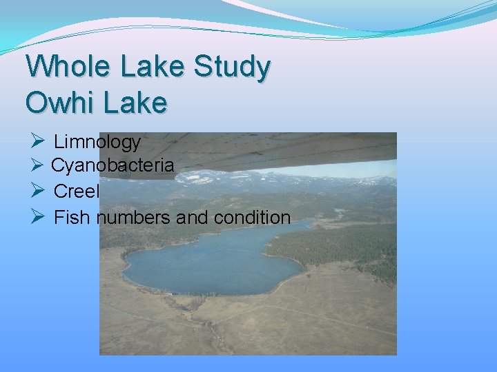 Whole Lake Study Owhi Lake Ø Limnology Ø Cyanobacteria Ø Creel Ø Fish numbers