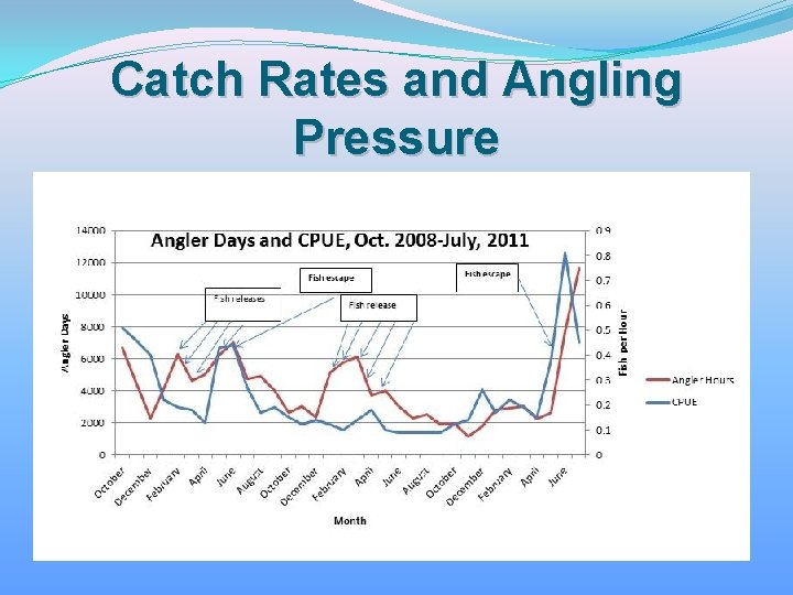 Catch Rates and Angling Pressure 