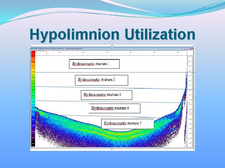 Hypolimnion Utilization 