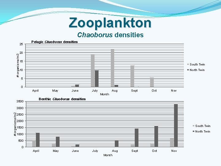 Zooplankton Chaoborus densities # organisms/m 3 25 Pelagic Chaoborus densities 20 15 South Twin