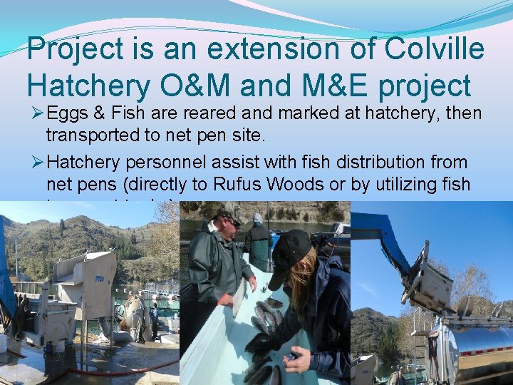 Project is an extension of Colville Hatchery O&M and M&E project Ø Eggs &