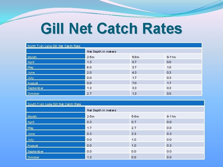 Gill Net Catch Rates North Twin Lake Gill Net Catch Rate Net Depth in