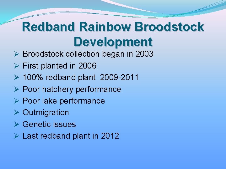 Redband Rainbow Broodstock Development Ø Ø Ø Ø Broodstock collection began in 2003 First