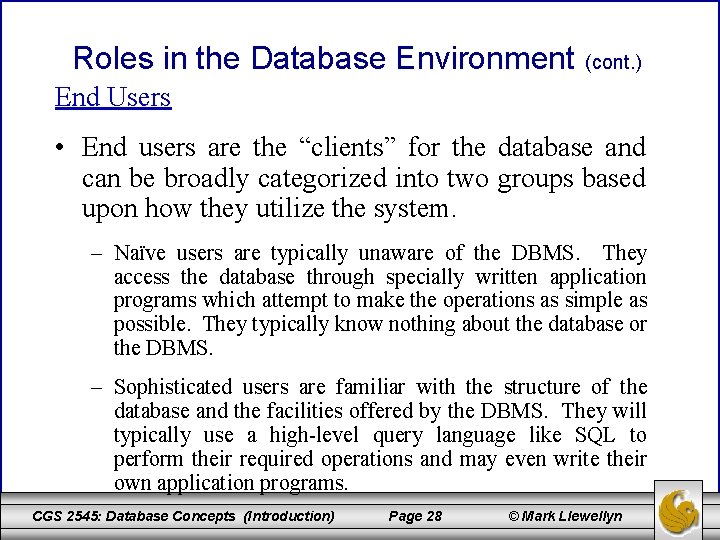 Roles in the Database Environment (cont. ) End Users • End users are the