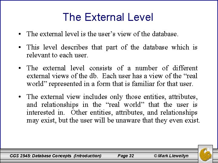 The External Level • The external level is the user’s view of the database.