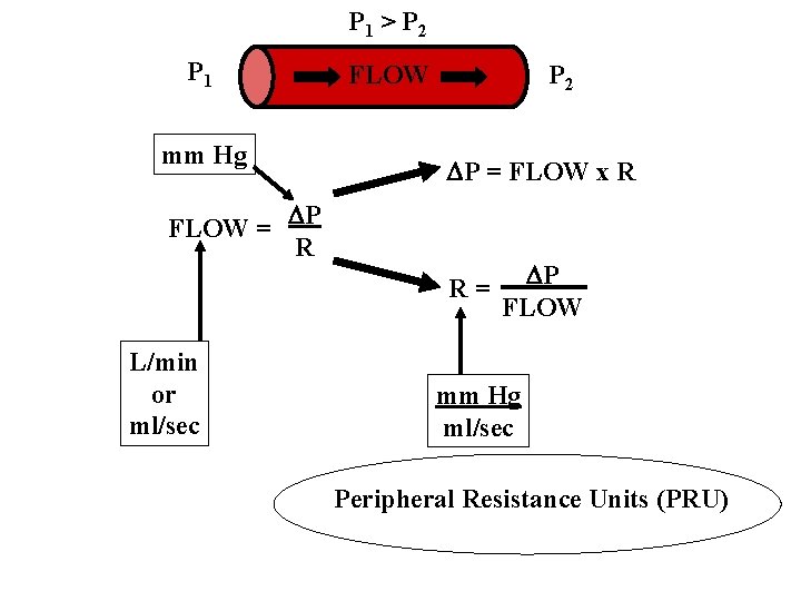 P 1 > P 2 P 1 mm Hg FLOW P 2 P = P 1 > P 2 P 1 mm Hg FLOW P 2 P =