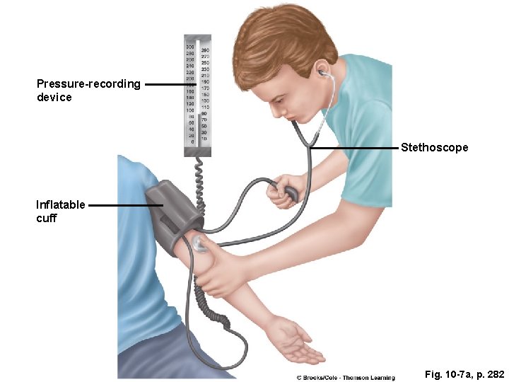 Pressure-recording device Stethoscope Inflatable cuff Fig. 10 -7 a, p. 282 Pressure-recording device Stethoscope Inflatable cuff Fig. 10 -7 a, p. 282