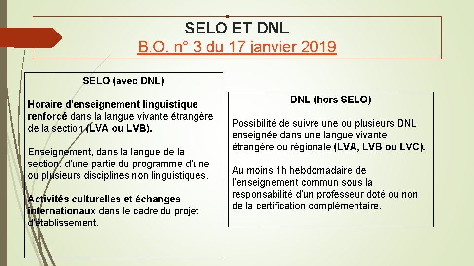 SELO ET DNL B. O. n° 3 du 17 janvier 2019 SELO (avec DNL)