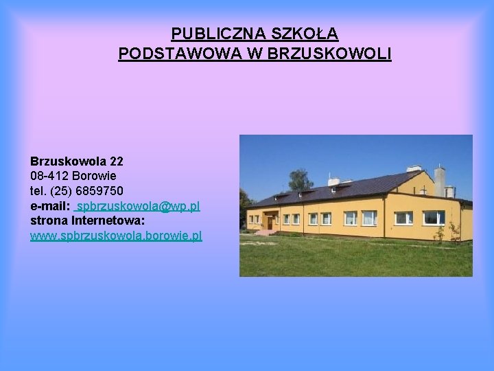 PUBLICZNA SZKOŁA PODSTAWOWA W BRZUSKOWOLI Brzuskowola 22 08 -412 Borowie tel. (25) 6859750 e-mail: