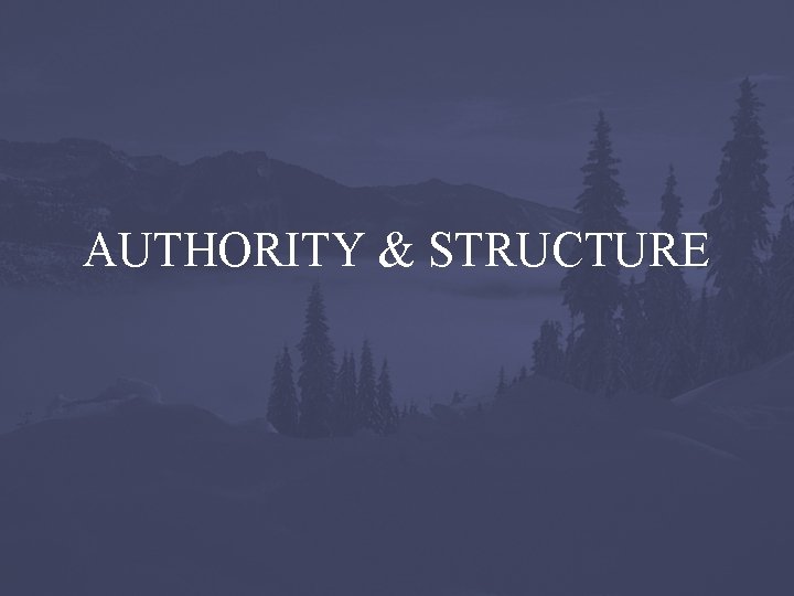 AUTHORITY & STRUCTURE 