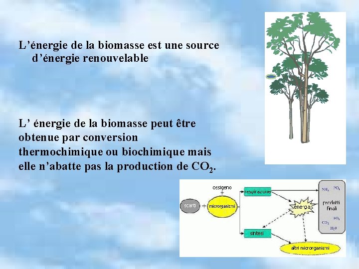 L’énergie de la biomasse est une source d’énergie renouvelable L’ énergie de la biomasse