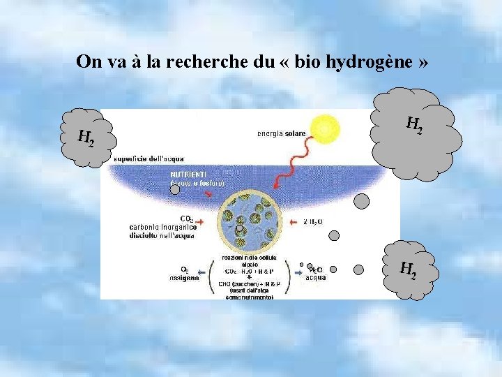 On va à la recherche du « bio hydrogène » H 2 H 2