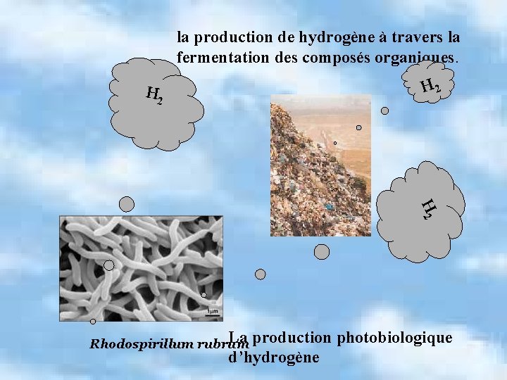 la production de hydrogène à travers la fermentation des composés organiques. H 2 H