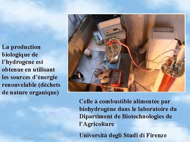 La production biologique de l’hydrogène est obtenue en utilisant les sources d’énergie renouvelable (déchets