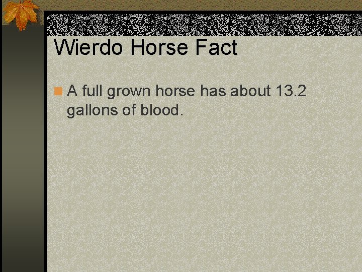 Wierdo Horse Fact n A full grown horse has about 13. 2 gallons of