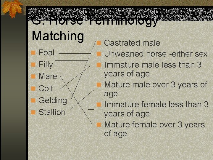 G. Horse Terminology Matching n Castrated male n Foal n Unweaned horse -either sex