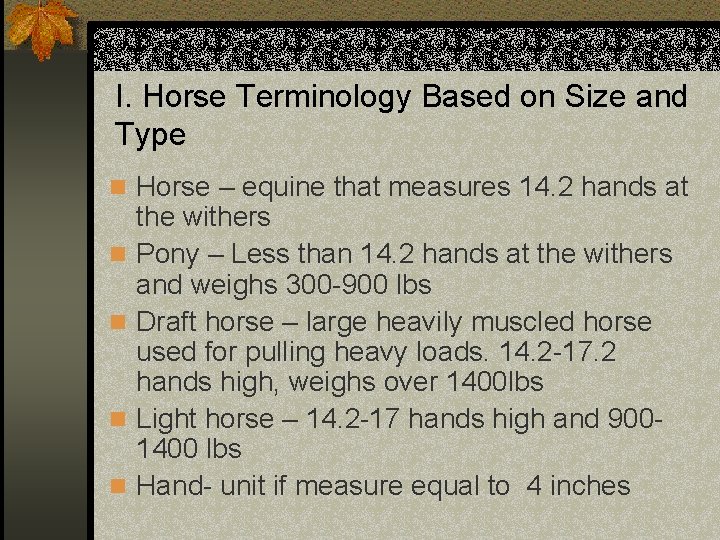 I. Horse Terminology Based on Size and Type n Horse – equine that measures