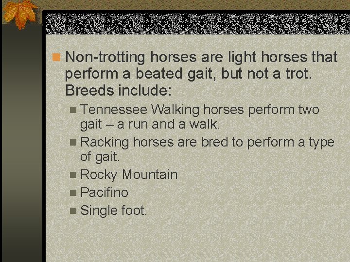 n Non-trotting horses are light horses that perform a beated gait, but not a