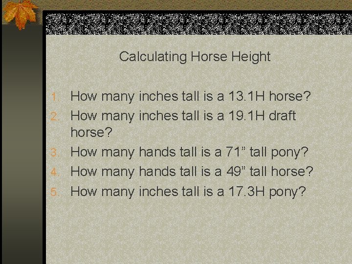 Calculating Horse Height 1. How many inches tall is a 13. 1 H horse?