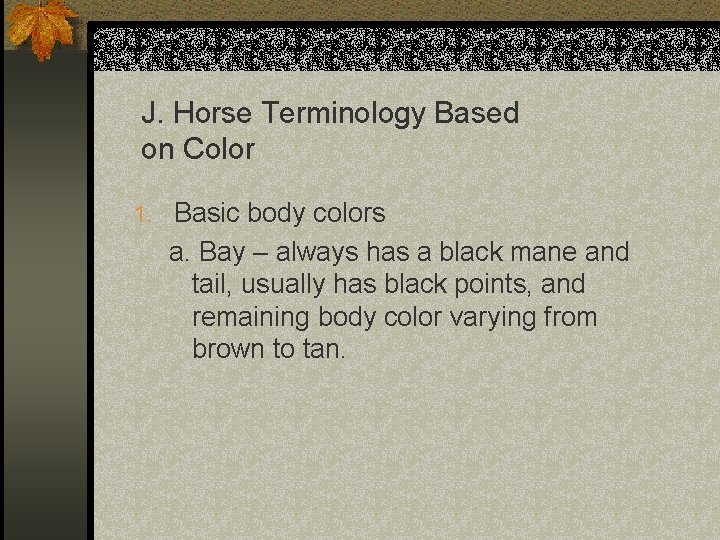 J. Horse Terminology Based on Color 1. Basic body colors a. Bay – always