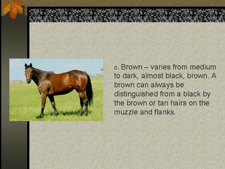 c. Brown – varies from medium to dark, almost black, brown. A brown can