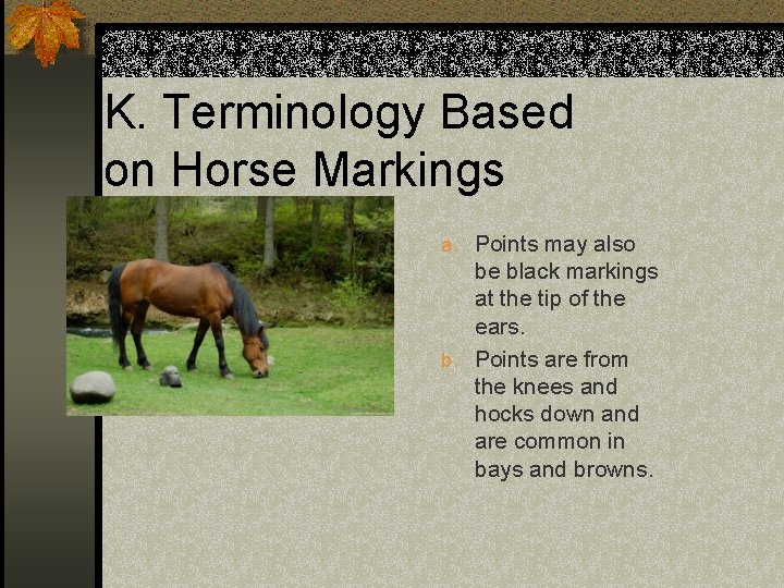 K. Terminology Based on Horse Markings a. Points may also be black markings at