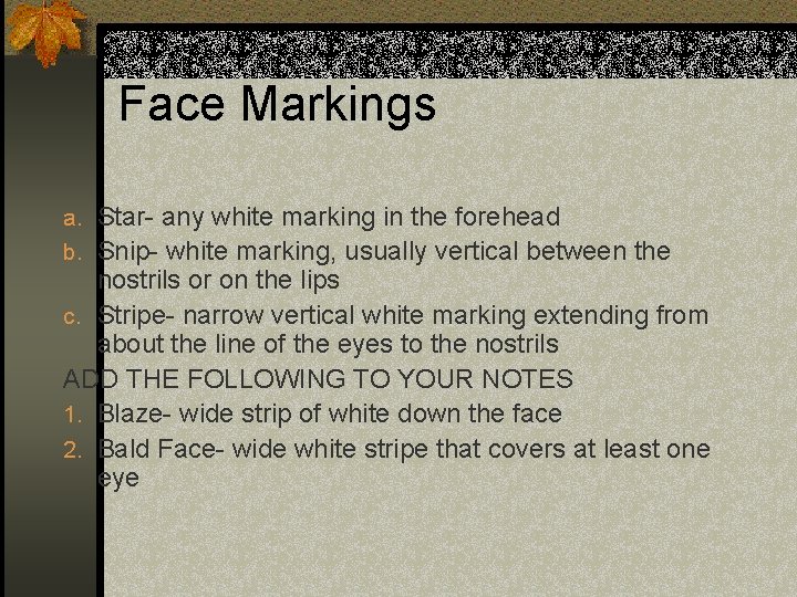 Face Markings a. Star- any white marking in the forehead b. Snip- white marking,