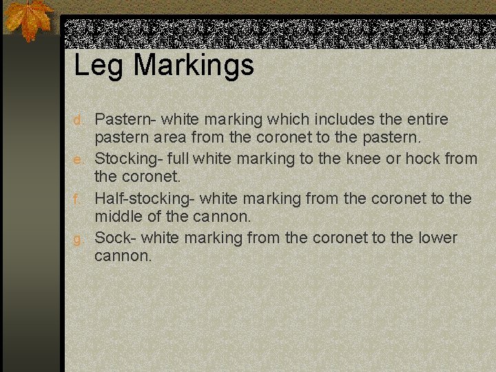 Leg Markings d. Pastern- white marking which includes the entire pastern area from the