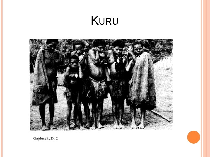 KURU 