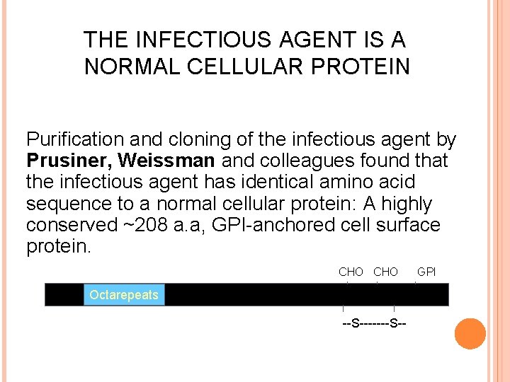 THE INFECTIOUS AGENT IS A NORMAL CELLULAR PROTEIN Purification and cloning of the infectious
