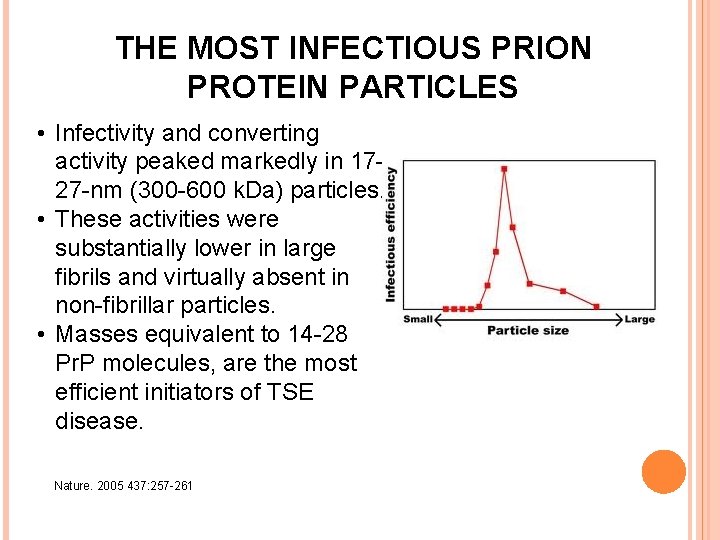 THE MOST INFECTIOUS PRION PROTEIN PARTICLES • Infectivity and converting activity peaked markedly in