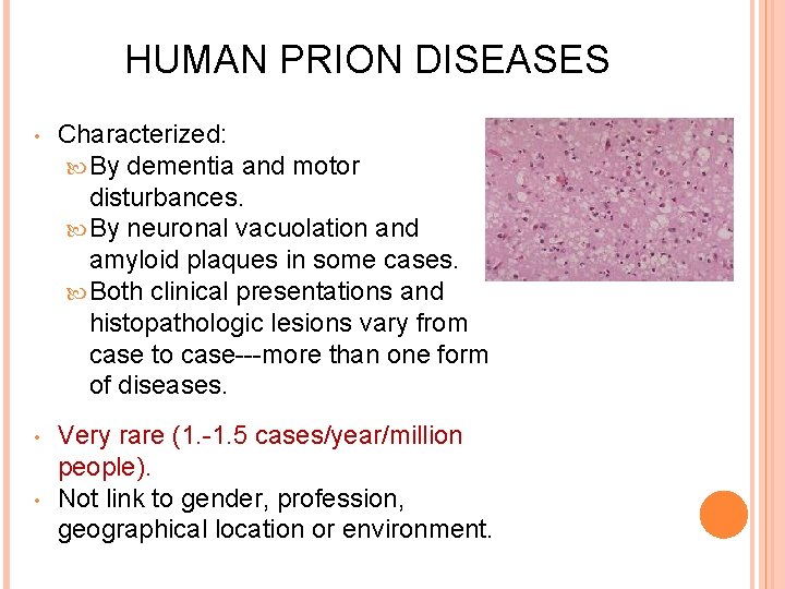 HUMAN PRION DISEASES • Characterized: By dementia and motor disturbances. By neuronal vacuolation and