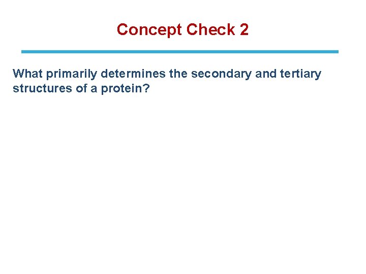 Concept Check 2 What primarily determines the secondary and tertiary structures of a protein?