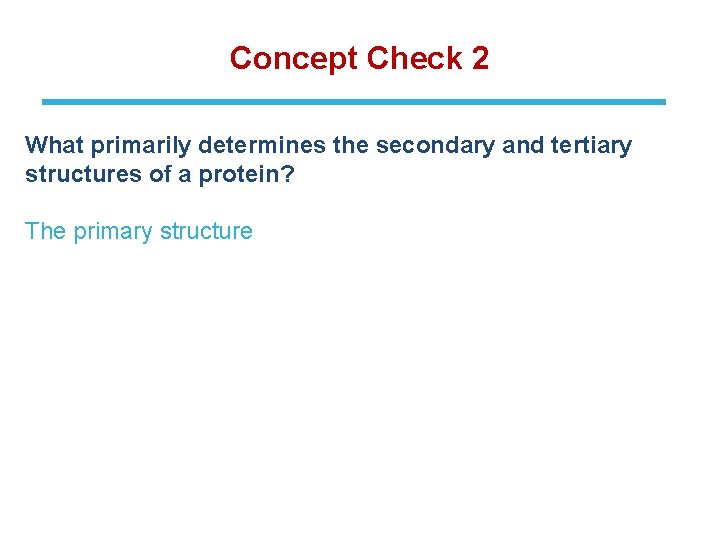 Concept Check 2 What primarily determines the secondary and tertiary structures of a protein?