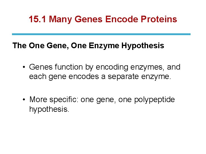 15. 1 Many Genes Encode Proteins The One Gene, One Enzyme Hypothesis • Genes